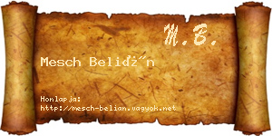 Mesch Belián névjegykártya